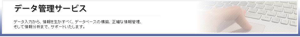 サービスの特長と概要(データ管理サービス)